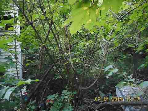 6550 Stanford (7)_m.jpg